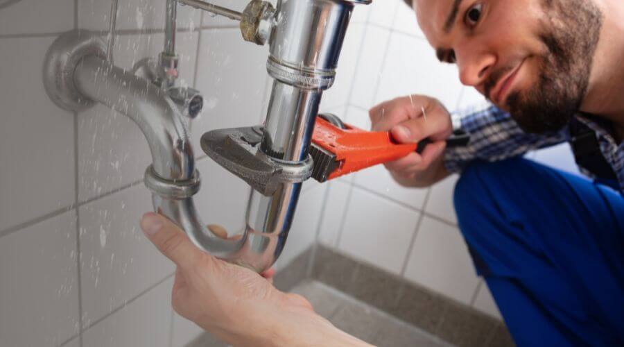 Professional clogged toilet repair services in Genoa, NV